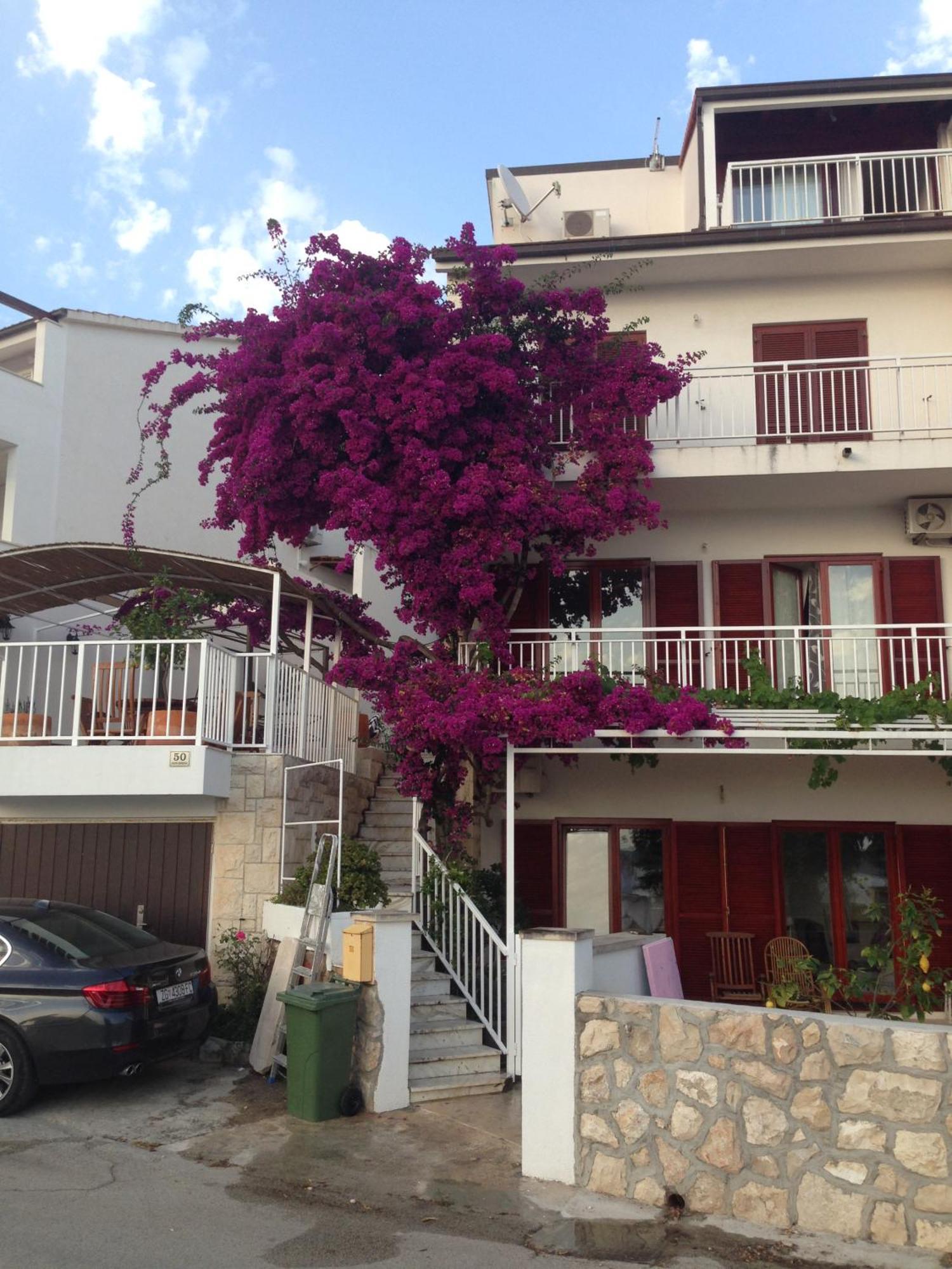 Apartment Duda Hvar Town Zewnętrze zdjęcie